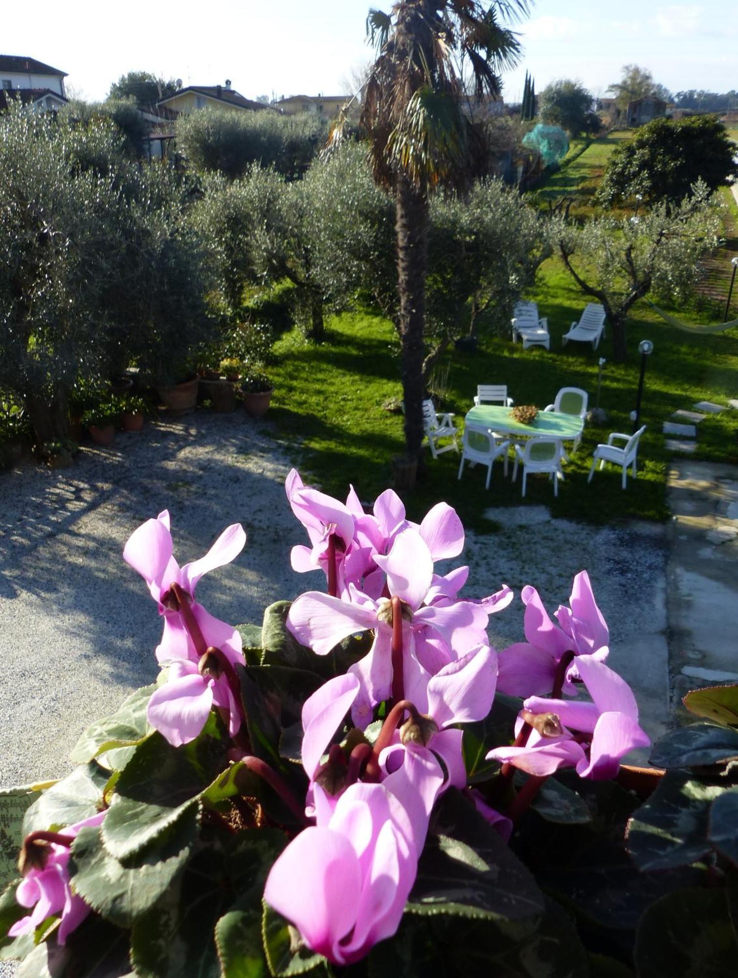 Appartement La Casa Di Silvia à Massarosa Extérieur photo